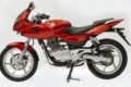 Bajaj Pulsar 220 DTS-Fi (2007)