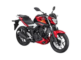 Yamaha MT 25