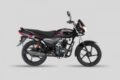 Bajaj Platina 125 DTS-Si (2010)