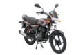 Bajaj Platina 125 Dumdaar Sawari (2011)
