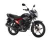 Yamaha Saluto