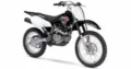 Suzuki DR 125L