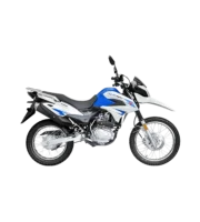 Suzuki DR150
