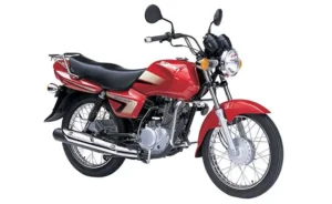Suzuki Heat
