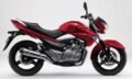 Suzuki Inazuma 250