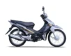 Suzuki Smash