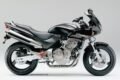 Honda CB 600 S Hornet (2000)