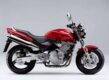 Honda CB 600 F Hornet (2000)